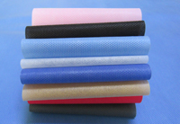 涟源涤纶（PET）无纺布是什么