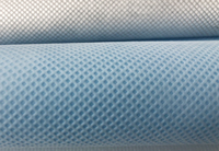 涟源(PP)丙纶无纺布跟(PET)涤纶无纺布的区别